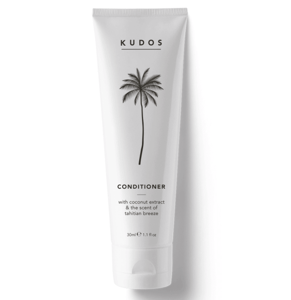 kudos conditioner
